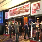 Fan Entrance AVN Expo